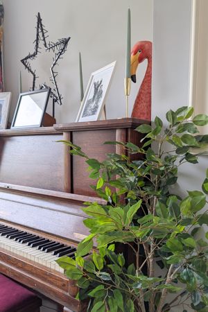 Photo 25- click for photo gallery